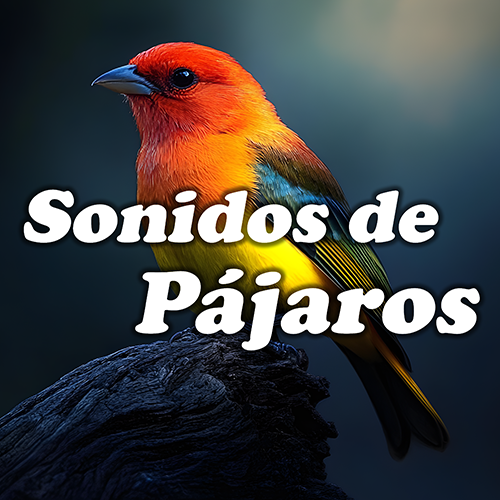 Sonidos de Pájaros Logo